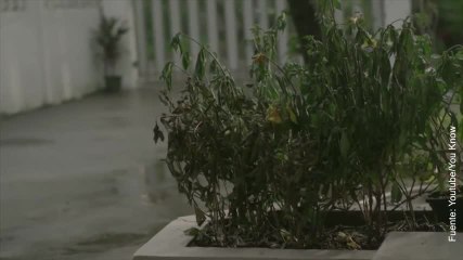 ¡Dona pelo a las asociaciones contra el cáncer!