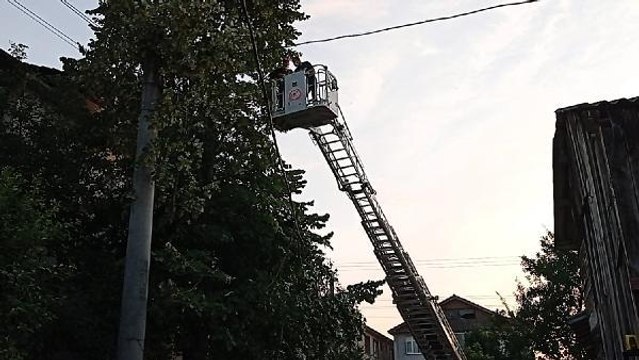 BUDAMAK İÇİN ÇIKTIĞI IHLAMUR AĞACINDA MAHSUR KALDI