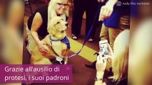 Ogni cane è speciale, ma la sua storia è incredibile