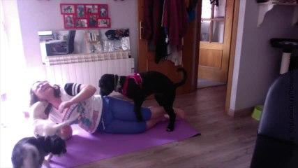 ¡Estos perritos no dejan a su dueña hacer yoga!
