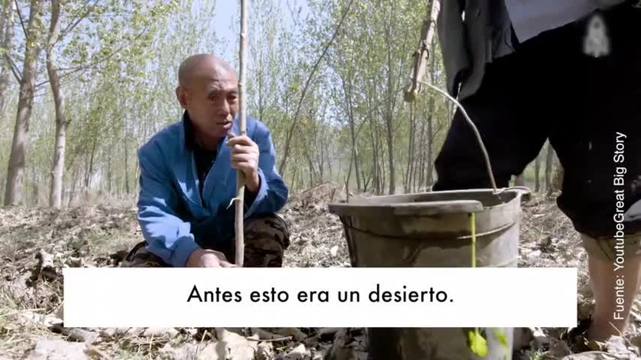 ¡La amistad de esto dos hombres ha logrado crear un bosque!