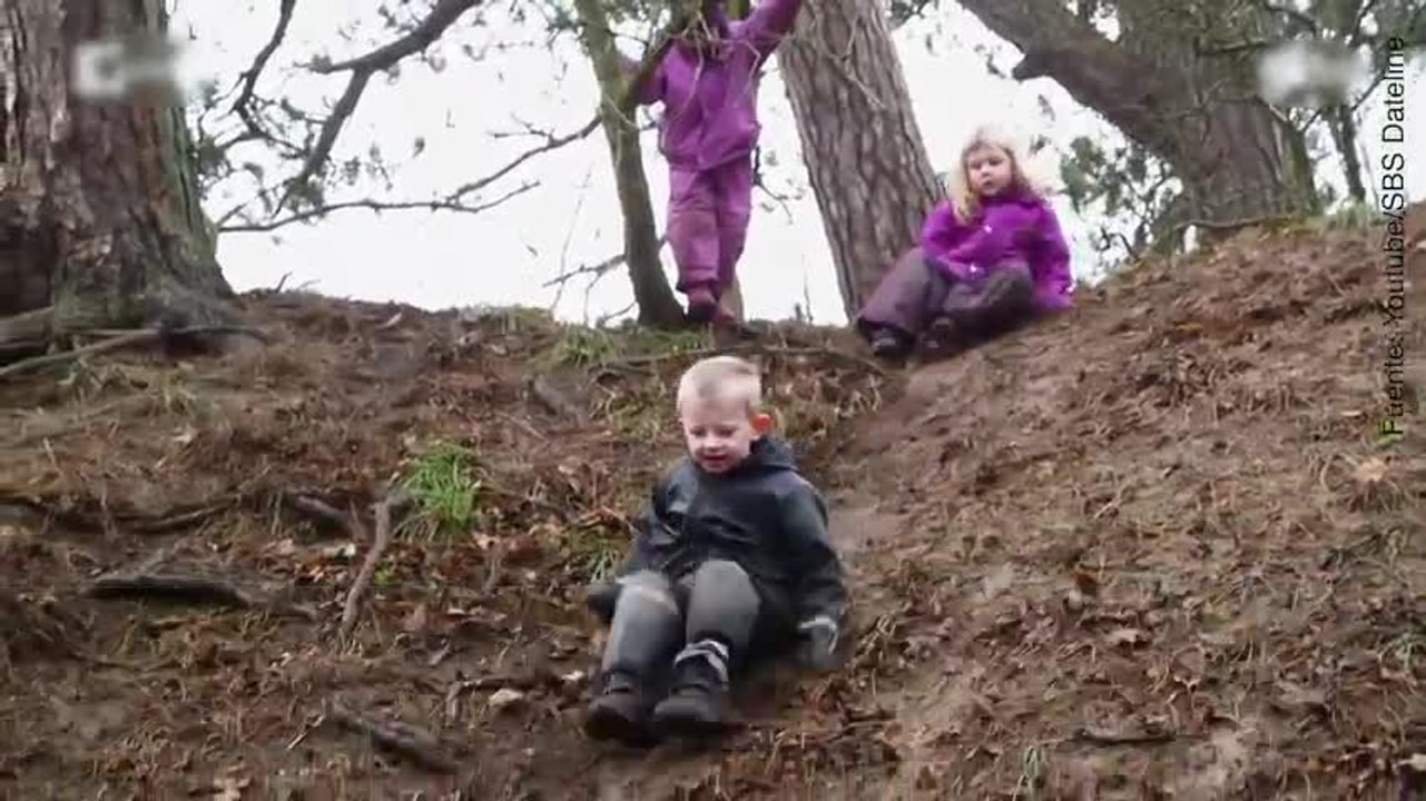 Bosque-guarderías, aventuras y diversión para los peques