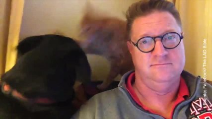 ¡El perro y el gato de este hombre no paran quietos!