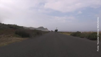 Un inseguimento in bicicletta che ha dell'incredibile!