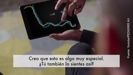 ¡El corazón de los perros y sus dueños al mismo ritmo!