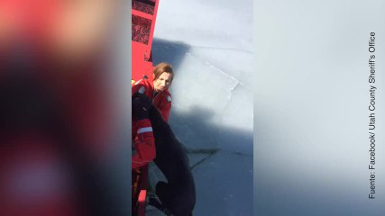 Vídeo de salvado a tiempo: este perrito ya puede respirar tranquilo