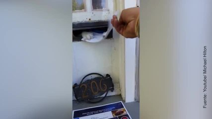 ¡El gato le devuelve las cartas al cartero!