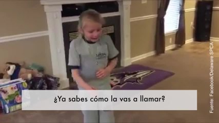 Vídeo de una sorpresa nada más levantarse de la cama