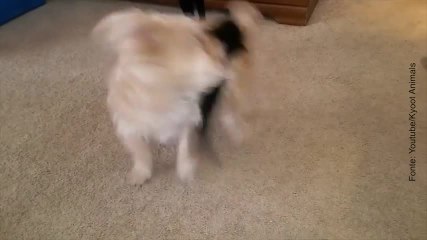 Chi ha bisogno di un passaggio