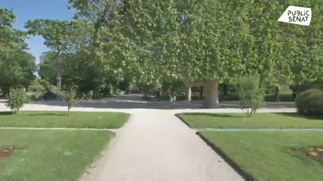 Birds of change - Pourvu que ça dure + (23/06/2021)