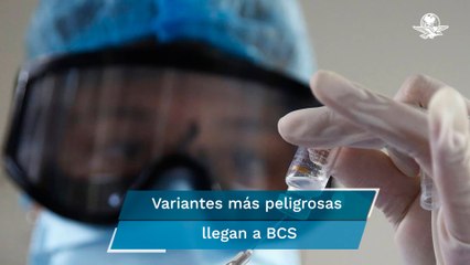 Identifican en Baja California Sur las variables Alfa, Gamma y Delta del coronavirus