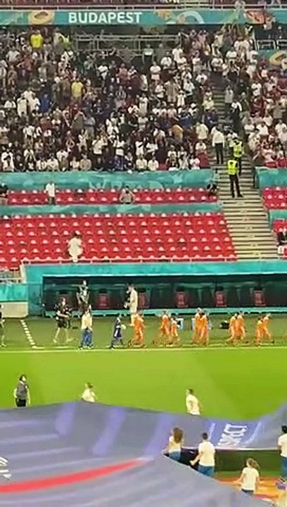 Nathan Roig, 10 ans, a déposé le ballon sur le terrain du match Portugal-France.