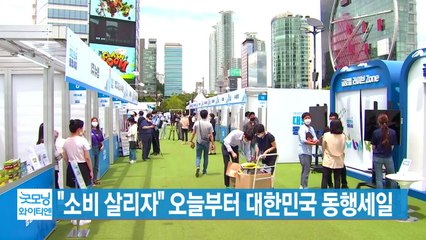 [YTN 실시간뉴스] "소비 살리자" 오늘부터 대한민국 동행세일 / YTN