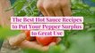 The Best Hot Sauce Recipes to Put Your Pepper Surplus to Great Use