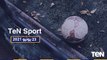 TeN Sport| لقاء خاص مع نجوم منتخب مصر لـ