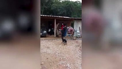 Militar leva choque elétrico por mais de 20 minutos e é intubado em Siderópolis; assista ao resgate