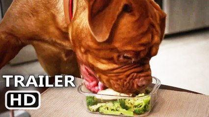 TURNER & HOOCH Trailer