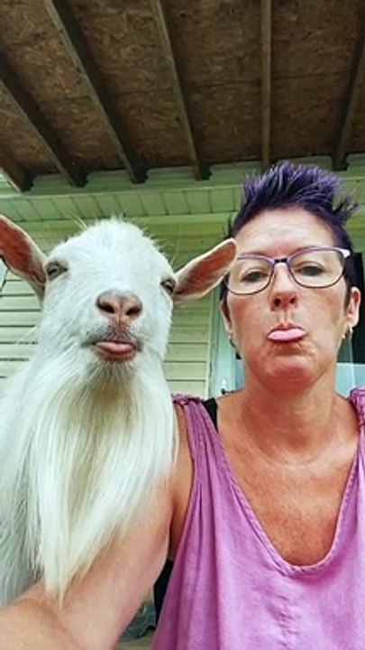 Two Tongues Stuck Out