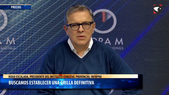 Buscamos establecer una grilla definitiva