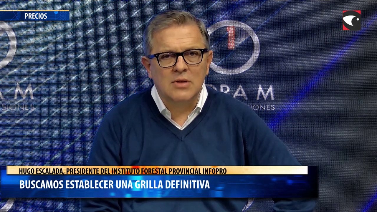 Buscamos establecer una grilla definitiva