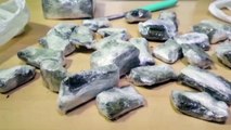 Polícia Militar realiza ação contra o tráfico de drogas na região do Bairro Tropical