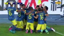 Luis Diaz Super Goal For Brazil Vs Colombia (0-1) - Copa America 23-06-2021