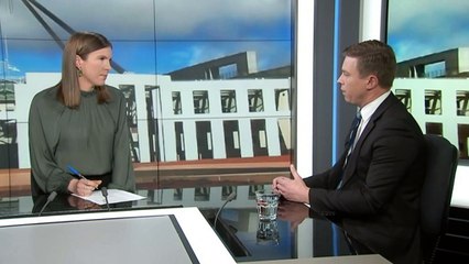 Liberal MP backs legislation for miscarriage paid leave support