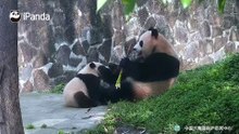 什么都不能影响熊妈享受美食