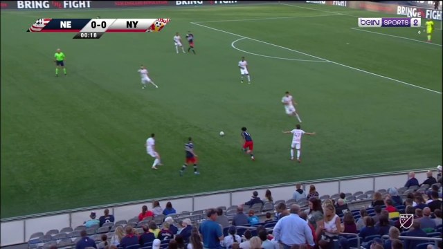 New England Revolution v NY Red Bulls