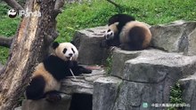 和小姐妹待在一起有多舒服