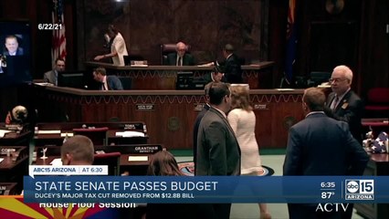 Arizona state senate passes budget