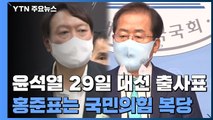 윤석열 29일 대선 출사표...홍준표는 국민의힘 복당 / YTN