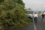 Fırtına, Nazilli'de yaşamı olumsuz etkiledi