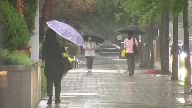 [날씨] 더위 속 요란한 소나기...주말까지 곳곳 소나기 / YTN