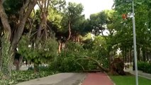 İzmir'de fırtına etkili oldu: Çatılar uçtu, ağaçlar devrildi