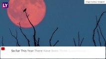Strawberry Supermoon On June 24: All About 2021's Last Supermoon