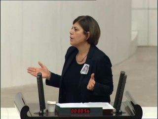 HDP'li Beştaş: İktidarın büyük ortağının engellemelerine rağmen oy alıyoruz; özgürce konuşalım, bakalım kim kaç milletvekili alır