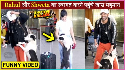 Shweta & Rahul Gets A Cute Welcome By A Street Dog | Funny Video