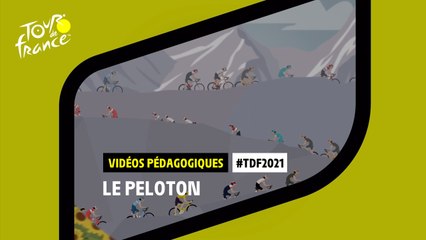 #TDF2021 - Le Peloton