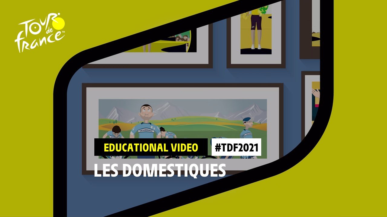 #TD2021 - Les Domestiques
