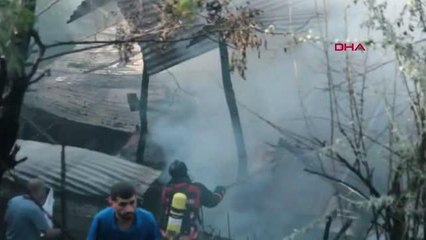 BİNGÖL YANGINDA ALEVLERİN ARASINDA KALAN KAPLUMBAĞAYI İTFAİYE ERİ KURTARDI