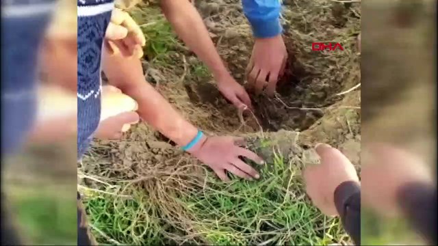 Çocukların duyduğu ses toprak altındaki köpekleri ölümden kurtardı