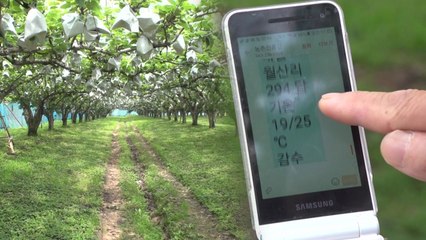 [녹색] 농장 기상재해정보로 농작물 피해 예방 / YTN