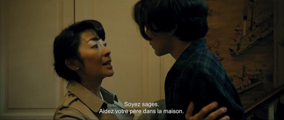 The lady (Luc Besson) WEB-DL (2011) Director's cut
