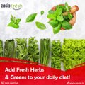 Add Fresh Herbs & Greens to your daily diet!