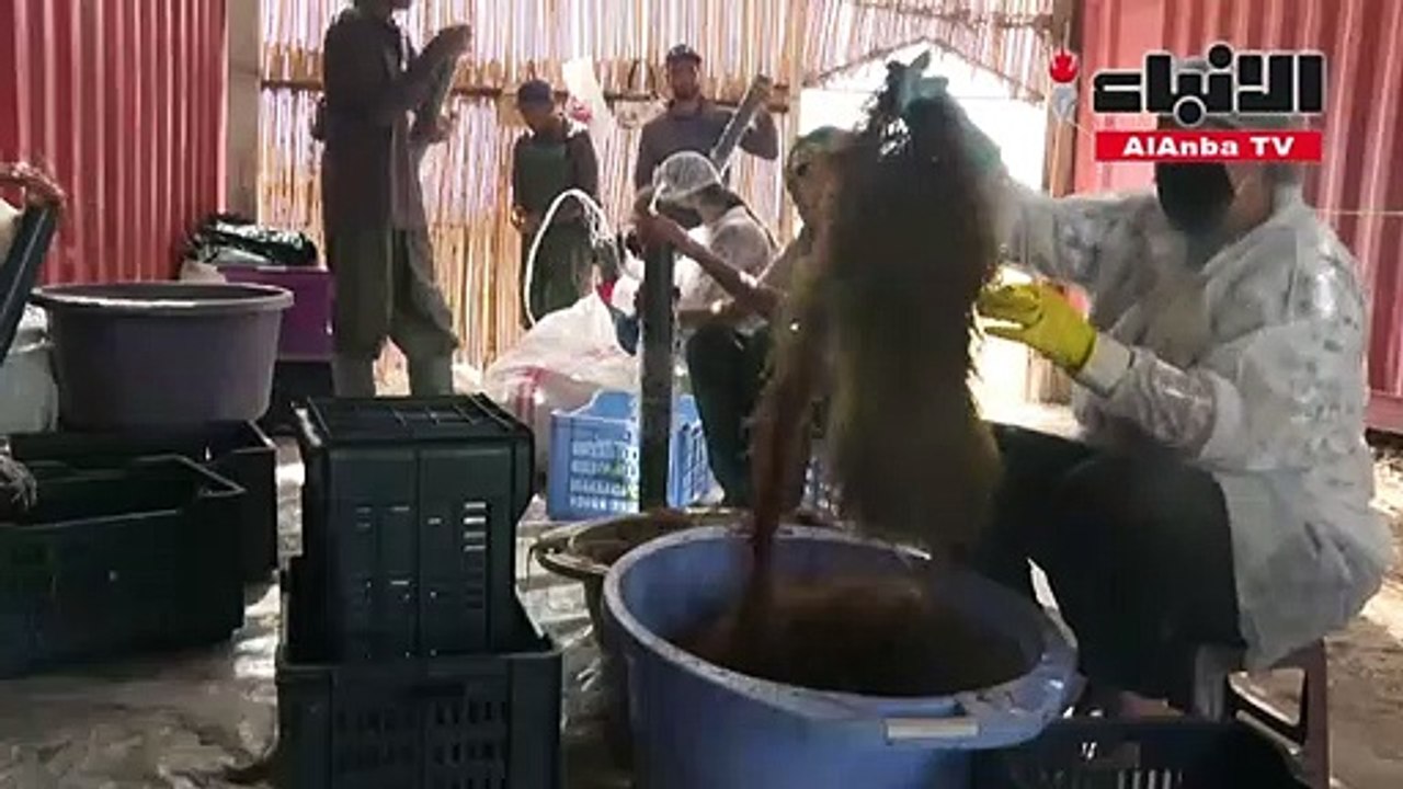 زراعة الطحالب الحمراء تجعل من تونس رائدة في المجال في حوض المتوسط