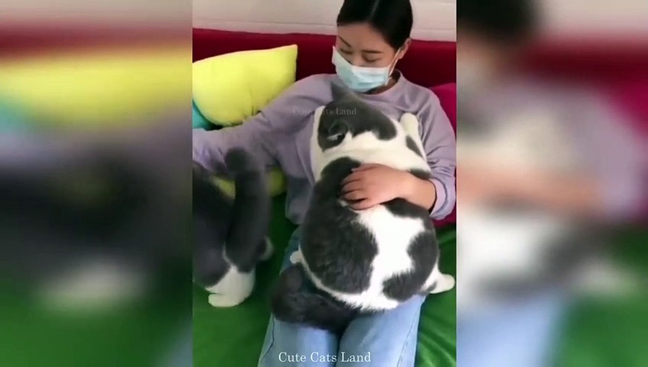 Kaissa Funny Video || Kaissa Ajob Doctor | Kaissa Bangla Funny Dubbing