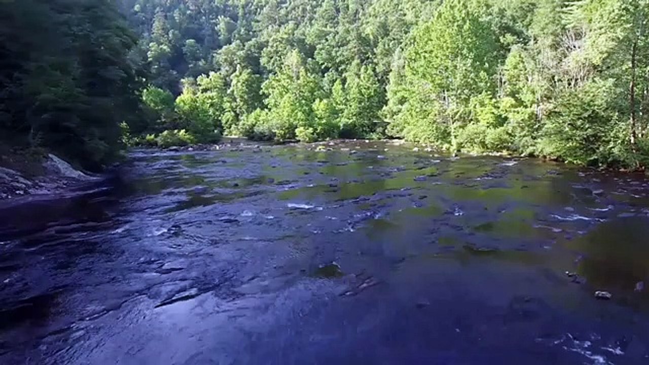 Beautiful Nature Sounds Relaxing Music Chill Stress-Piano relax