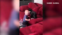 Kafasını kediye dostuna yalatan bebek izleyenleri güldürdü