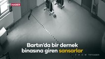 Hırsız sandılar, sansar çıktı